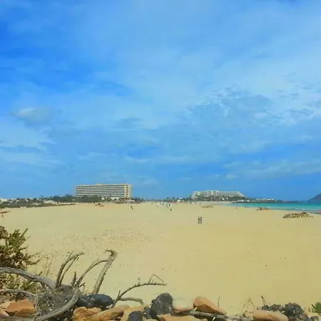 Riu Oliva Hotel Corralejo